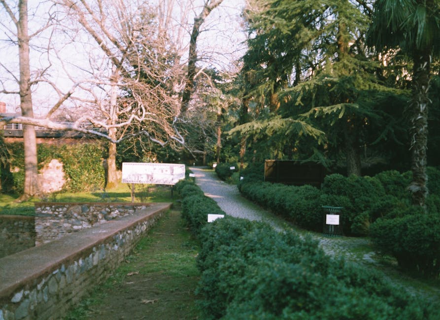 A tranquil garden pathway surrounded by lush greenery and trees.